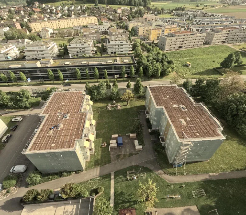 Luftaufnahme der beiden Dächer mit Substrat und fertiger Unterkonstruktion
