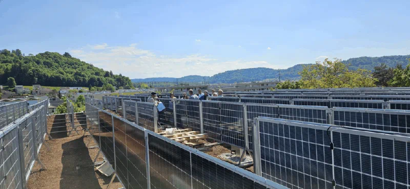 Besuchende zwischen den vertikalen Solarmodulreihen auf dem Dach