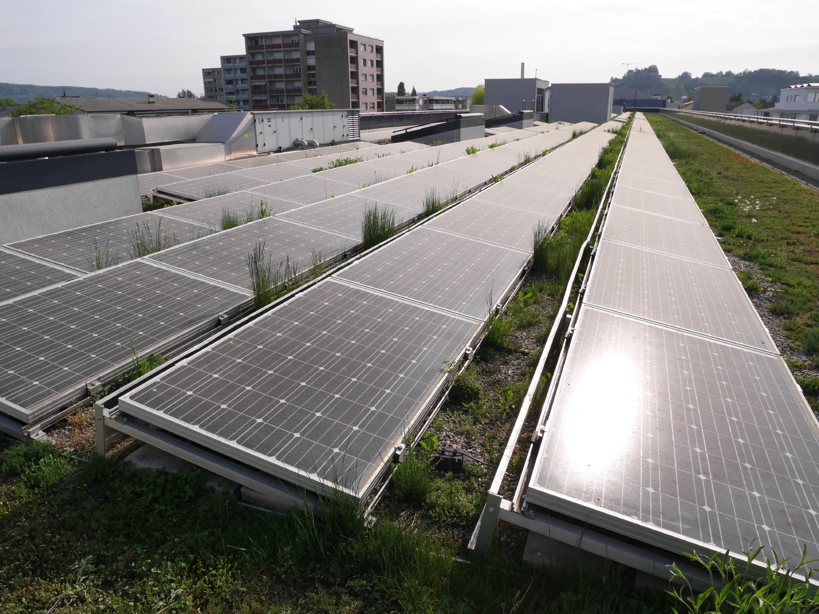 Solarmodule auf dem begrünten Dach der Stiftung Orte zum Leben, zwischen den Reihen wächst Gras