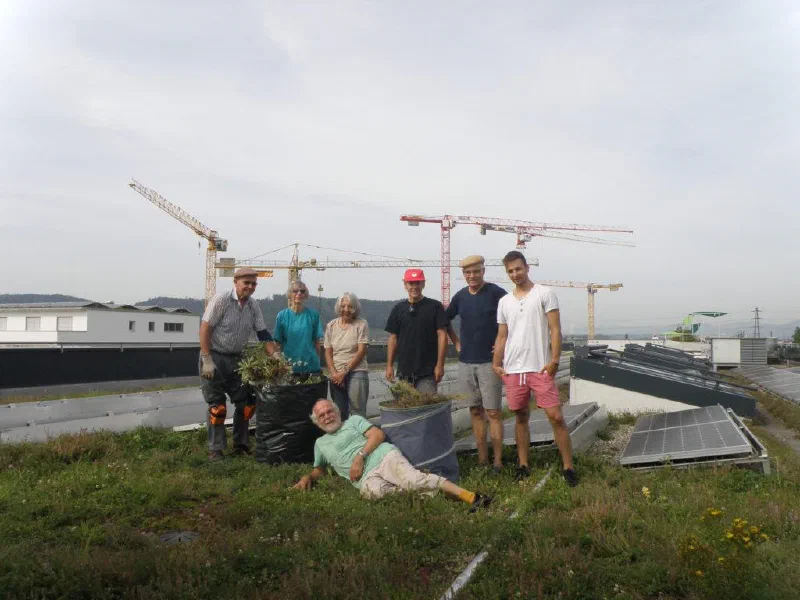 Gruppe von Helferinnen und Helfern nach dem Zurückschneiden der Dachbegrünung